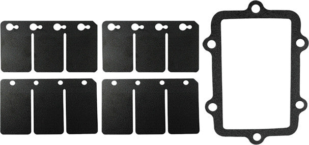 Reed Valve Rebuild Kit