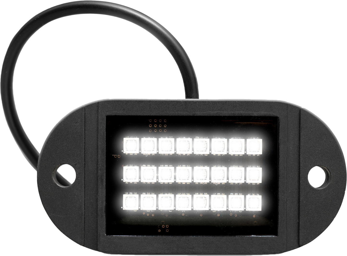 ECOXGEAR X1 Rock Light SEI-RCK1 with 24 LED High-Intensity Illumination and Cable