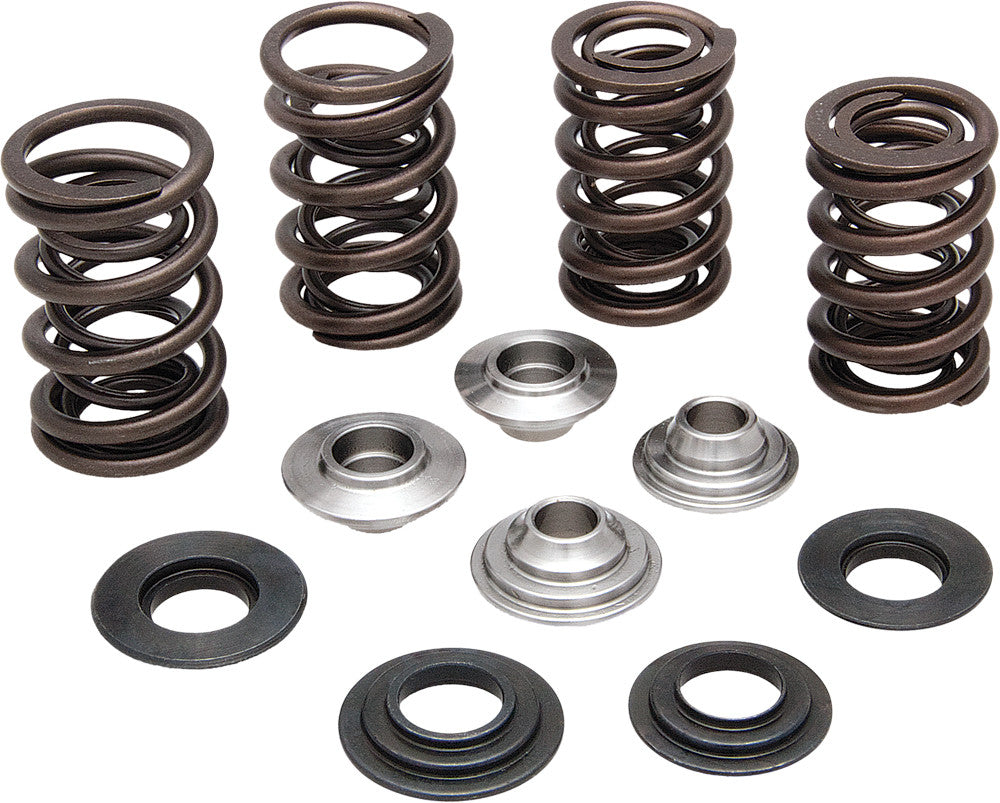 Valve Spring Kit