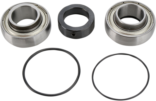 ALL BALLS Chain Case Bearing and Seal Kit 14-1008 for ATV and Motorcycle
