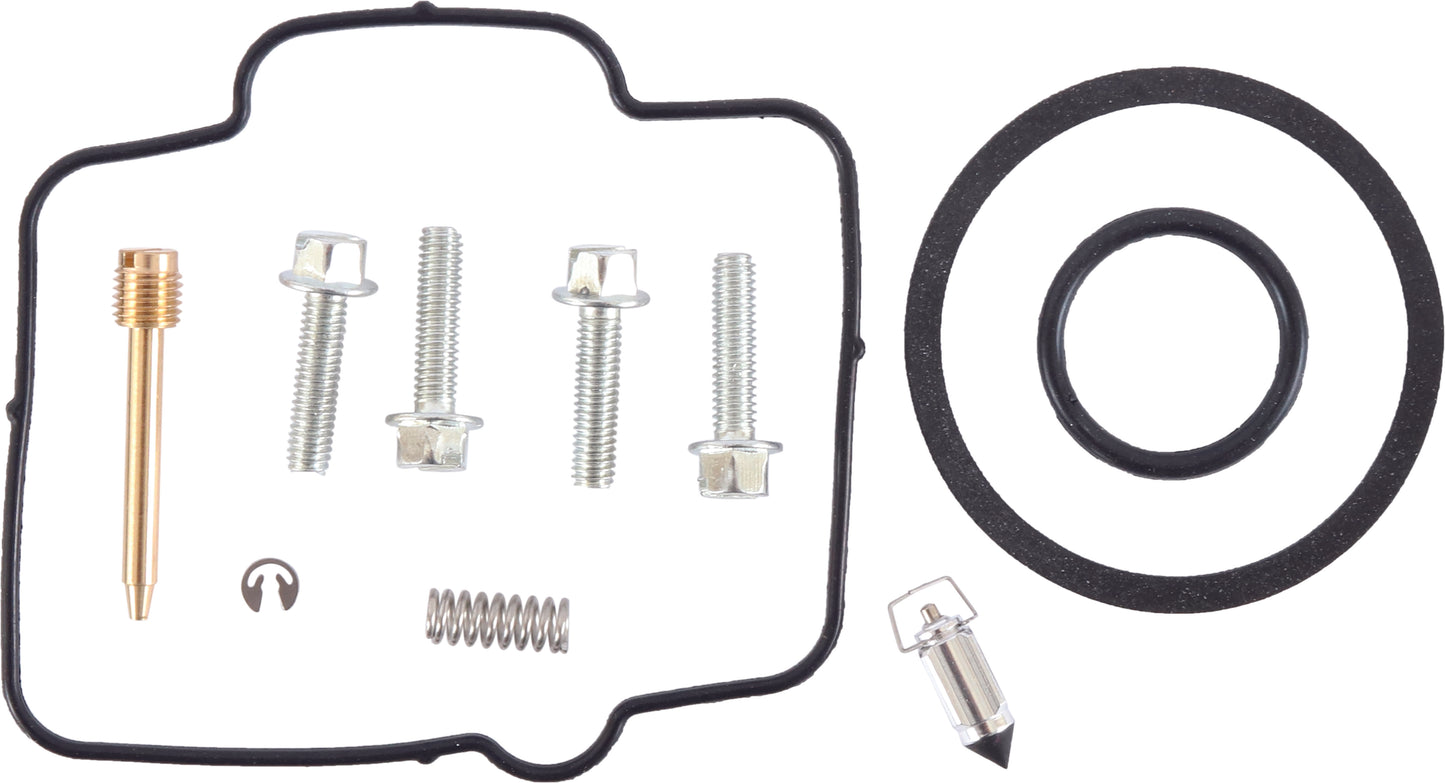 Carburetor Repair Kit