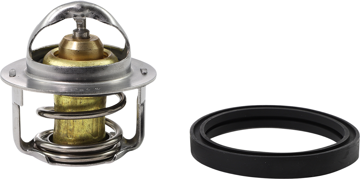 ALL BALLS Replacement Thermostat for Polaris 16-3001
