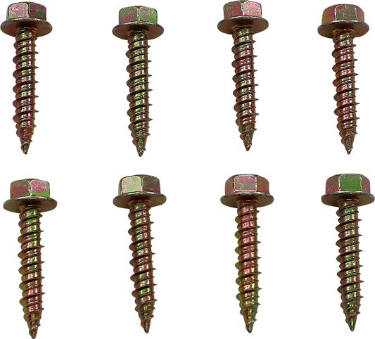 Moose Offroad Clutch Cover Screw for Polaris 100-4579-PU