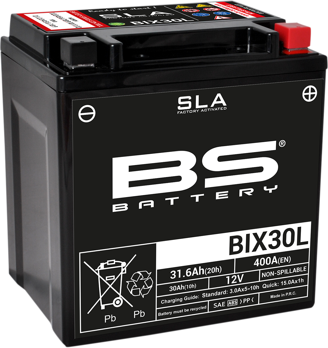 BS BATTERY BIX30L (YIX) 300631 Absorbed Glass Mat (AGM) Deep Cycle Battery