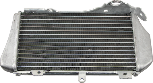 Moose Offroad OEM Replacement Radiator for Honda - Part 19010866