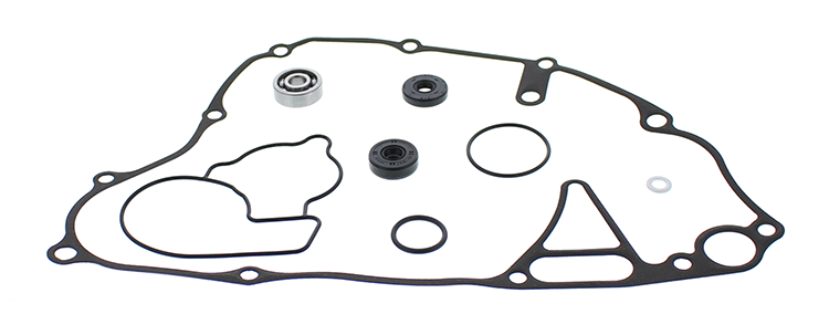 Water Pump Rebuild Kit