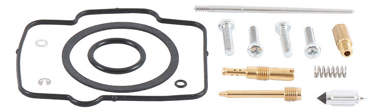 Carburetor Repair Kit