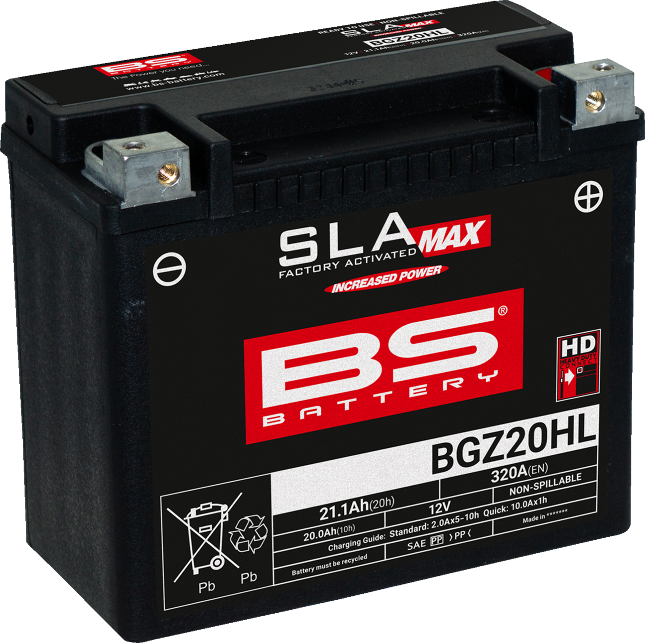 BS BATTERY BGZ20HL (GYZ) 300939 Maintenance-Free Deep Cycle Marine Battery