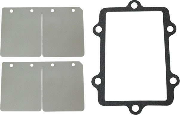 Reed Valve Rebuild Kit