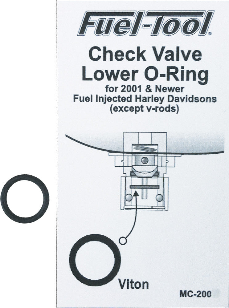 Check Valve O-Ring