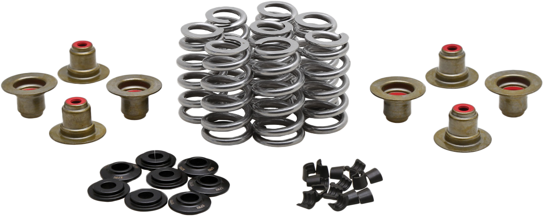 BEEHIVE VALVE SPRING KIT .640 LIFT M8`17-24 NON VVT