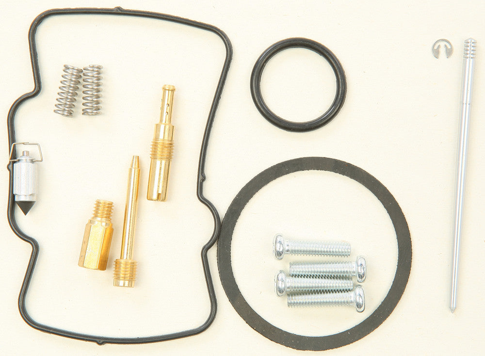Carburetor Repair Kit