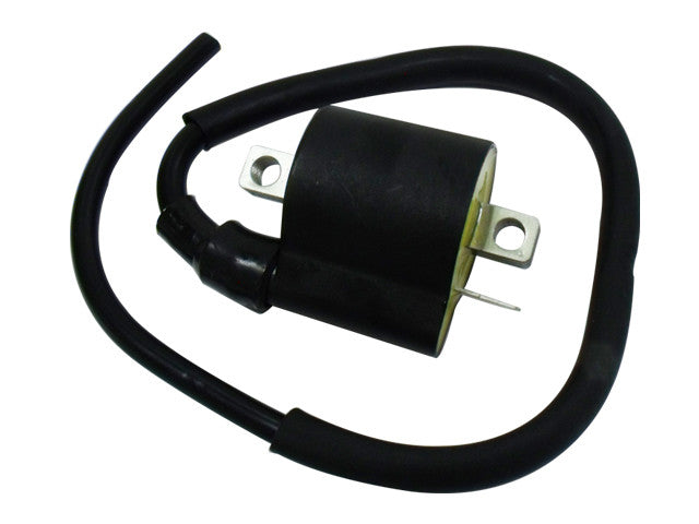 ATV Ignition Coil