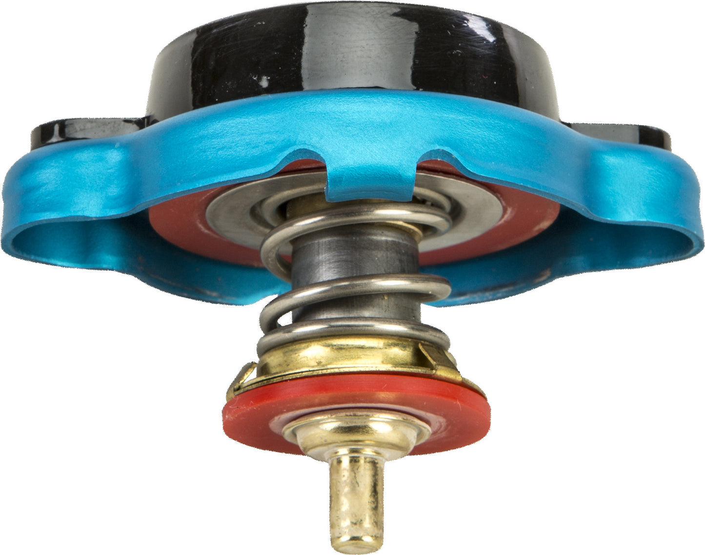 Radiator Cap w/Temperature Gauge