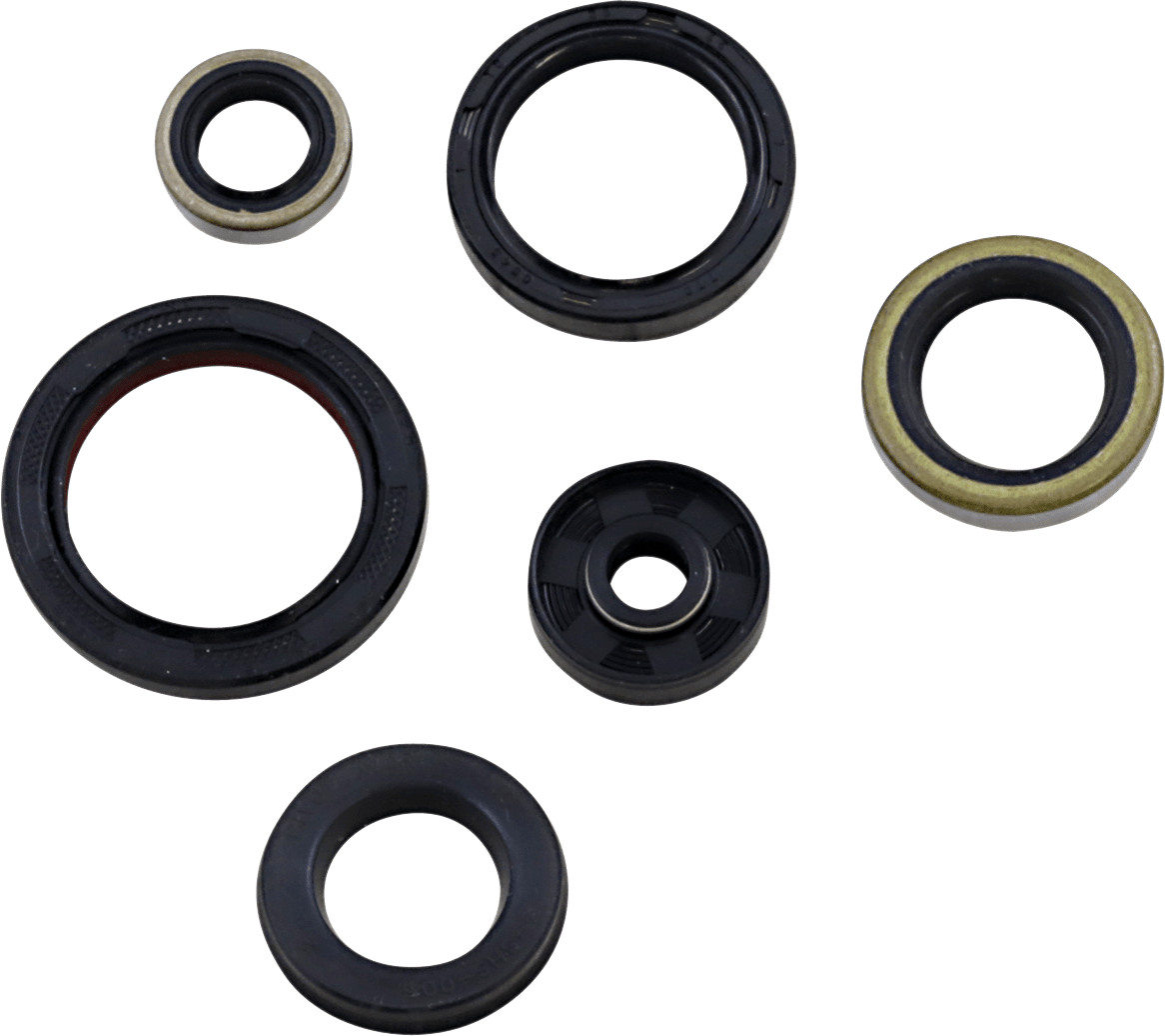 Moose Offroad Oil Seal Kit for Gas Gas, Husqvarna, KTM - Part 822995MSE - Kelly Motorsports