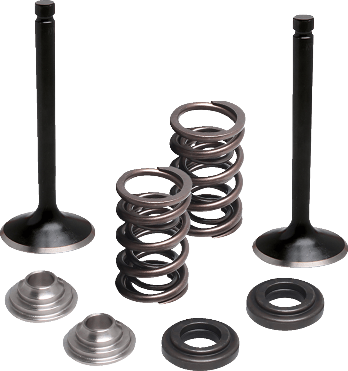 Moose Offroad Yamaha M80-83060 Exhaust Valve and Spring Kit for Improved Performance - Kelly Motorsports