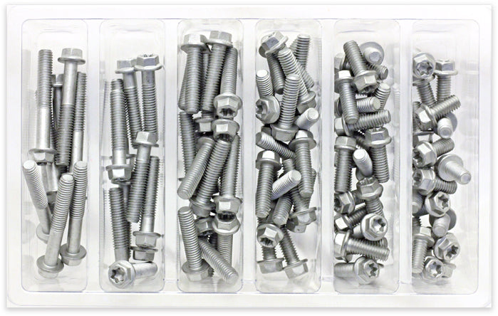 BOLT SV-M6EURO M6 Euro Torx Flange Bolt Assortment – 100 Piece Kit