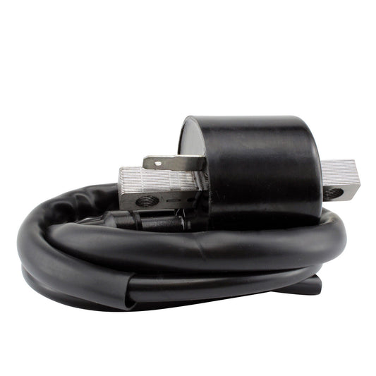 External Ignition Coils