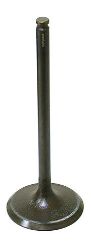 Intake Valve
