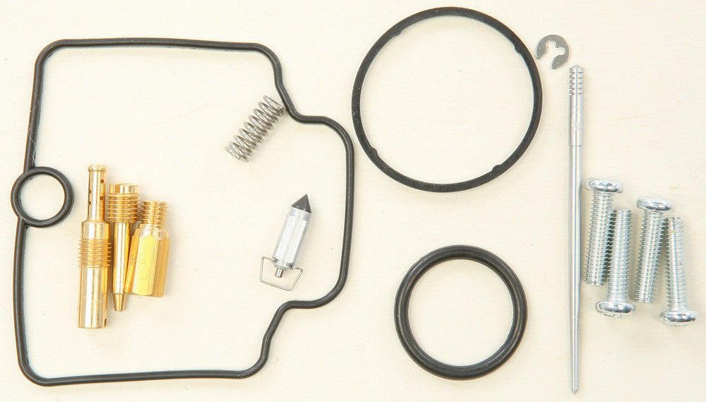 Carburetor Repair Kit