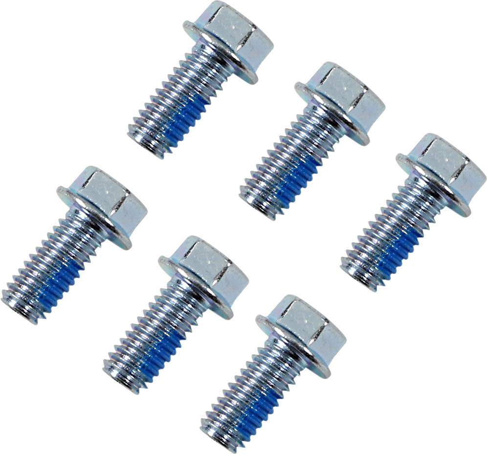 Moose Offroad Rotor Bolts for Honda, KTM, TM - Part Number 039-6A06