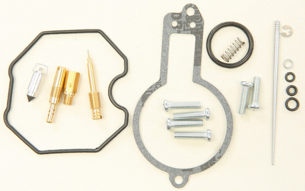 Carburetor Repair Kit