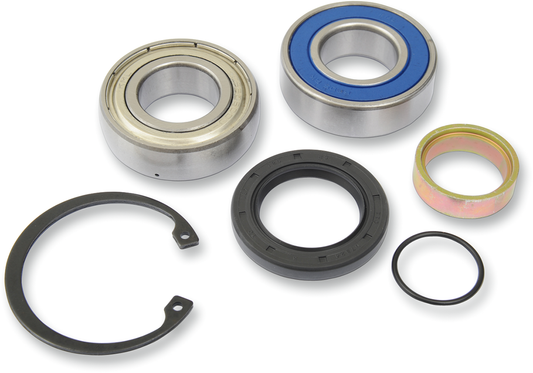 ALL BALLS Chain Case Bearing and Seal Kit 14-1004 for Motorcycle Maintenance