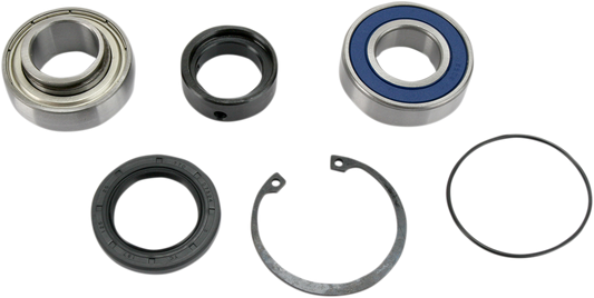 ALL BALLS Chain Case Bearing and Seal Kit 14-1001 for ATV and Motorcycle Maintenance