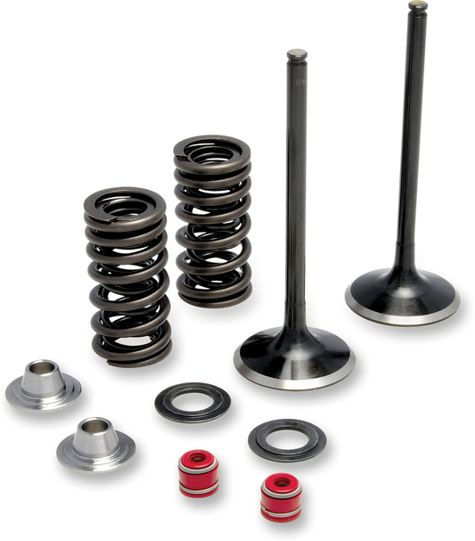 Moose Offroad Honda CRF250R Valve and Spring Kit M30-31500