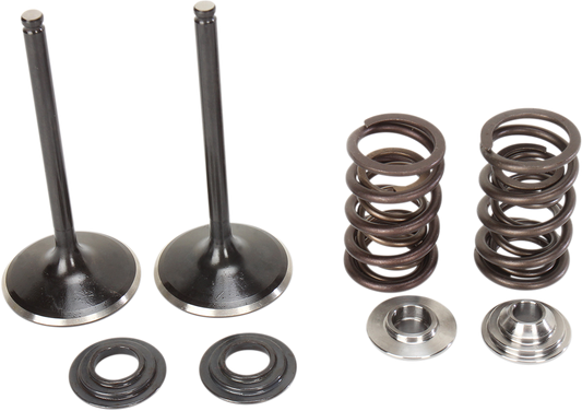 MOOSE OFFROAD Valve and Spring Kit for Suzuki LTR450 Quad Racer (Part M60-60850)