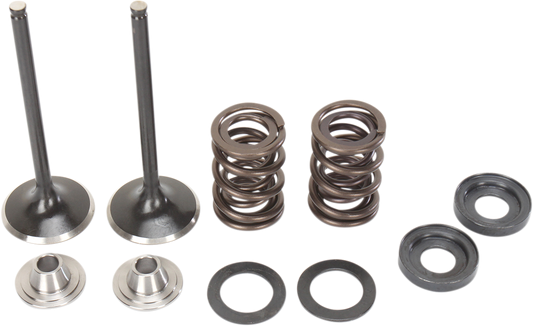 Moose Offroad Valve and Spring Kit for KTM RFS Engines 400cc-560cc - Part M96-96070