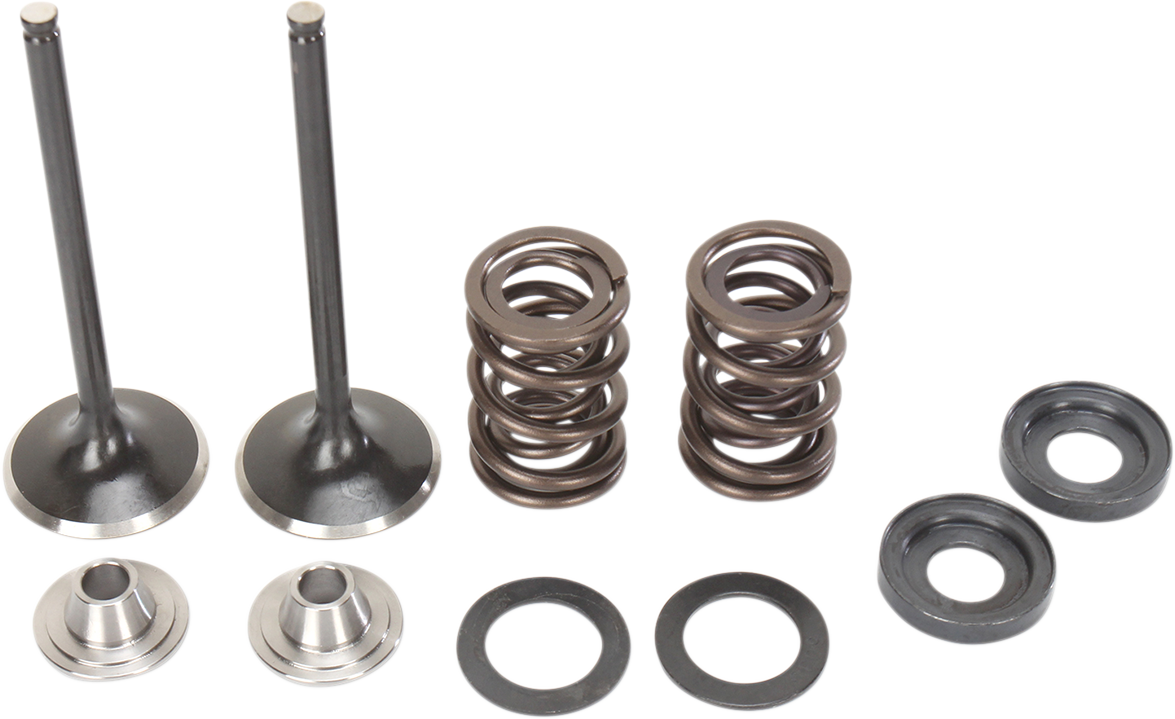 MOOSE OFFROAD Valve and Spring Kit for KTM RSF Engines 400cc-560cc (Part M96-96360)