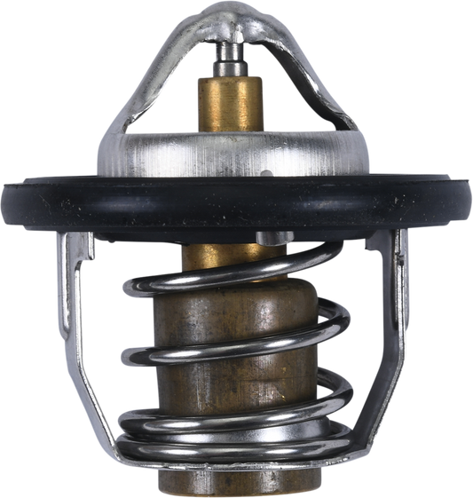 ALL BALLS Replacement Thermostat for Polaris - Part Number 16-3005