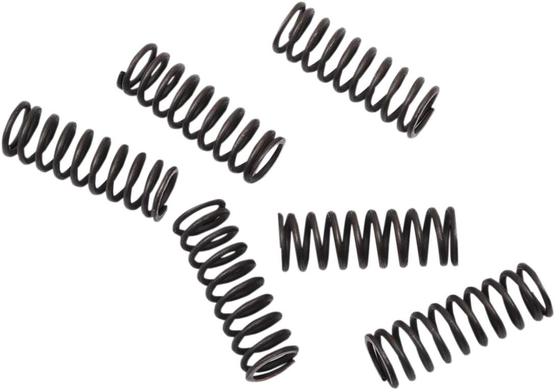 Moose Offroad CRF 450 Clutch Springs - Part FHDS155-6