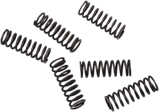 Moose Offroad CRF 450 Clutch Springs - Part FHDS155-6