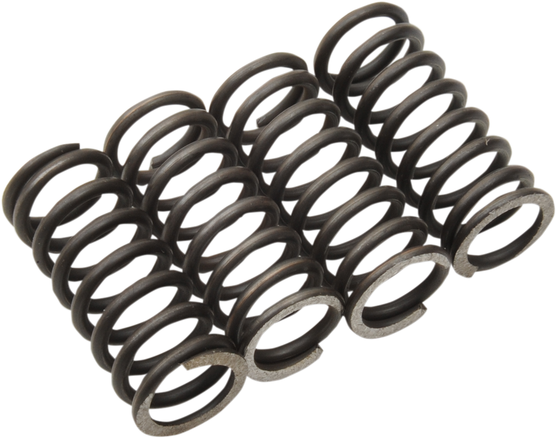 Moose Offroad Clutch Springs for TTR 125 - Part MHDS42-4