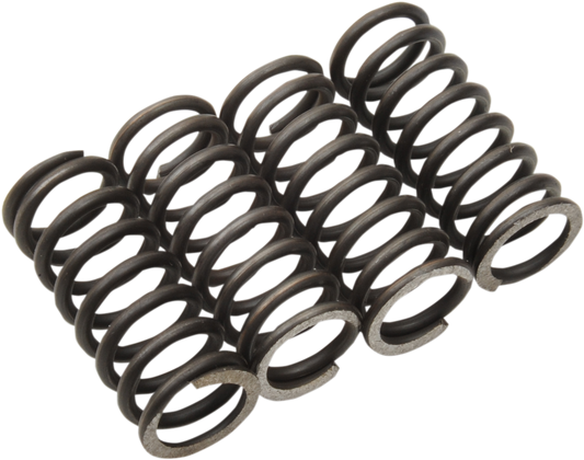Moose Offroad Clutch Springs for TTR 125 - Part MHDS42-4