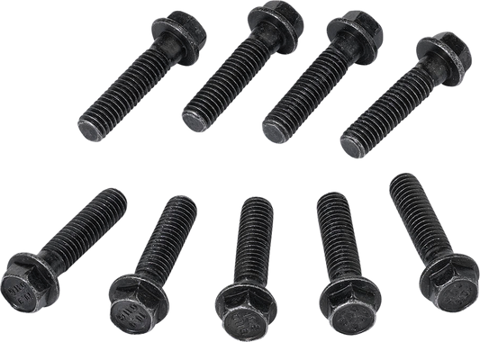 Moose Offroad Clutch Cover Screw for Polaris 100-2185-PU