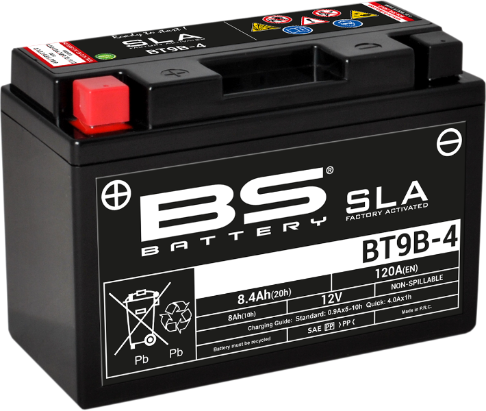 BS Battery BT9B-4 (YT) 300642 Absorbed Glass Mat Deep Cycle Battery
