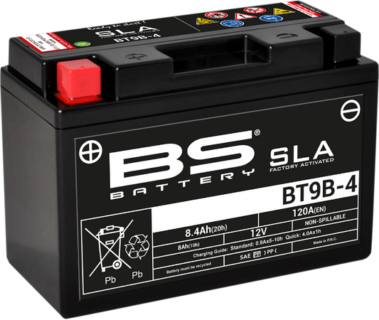 BS Battery BT9B-4 (YT) 300642 Absorbed Glass Mat Deep Cycle Battery