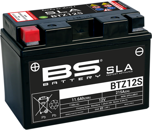 BS BATTERY BTZ12S (YTZ) 300637-1 AGM Motorcycle Battery - Spillproof, Maintenance-Free, Multi-Position Mounting