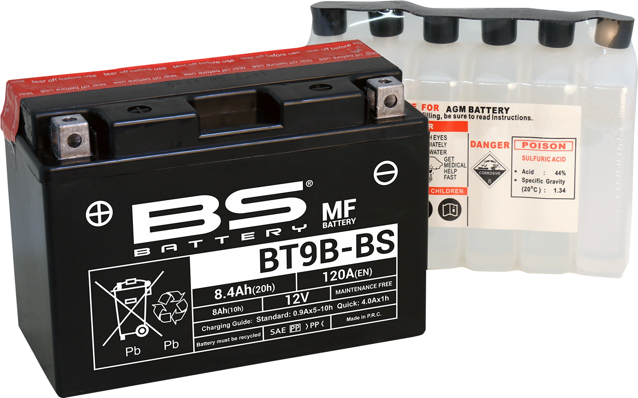 BS Battery BT9B-BS (YT) 300627 Maintenance-Free Deep Cycle Battery