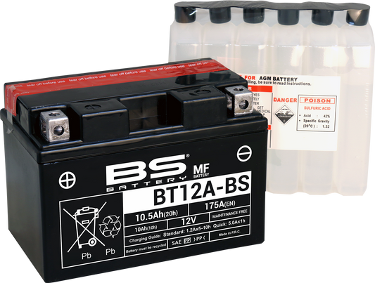 BS BATTERY BT12A-BS (YT) 300602 Maintenance-Free Deep Cycle Battery