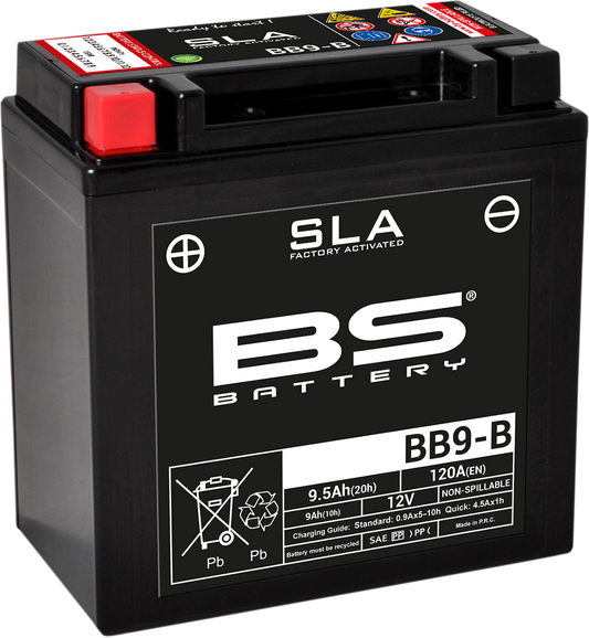 BS BATTERY BB9-B (YB) 300675 Absorbed Glass Mat (AGM) Maintenance-Free Battery