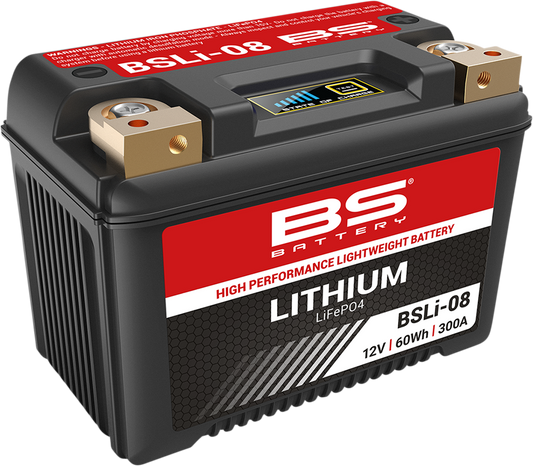 BS BATTERY Lithium Battery BSLi-08 360108 – 12.8V 5Ah Plug-and-Play Power Source