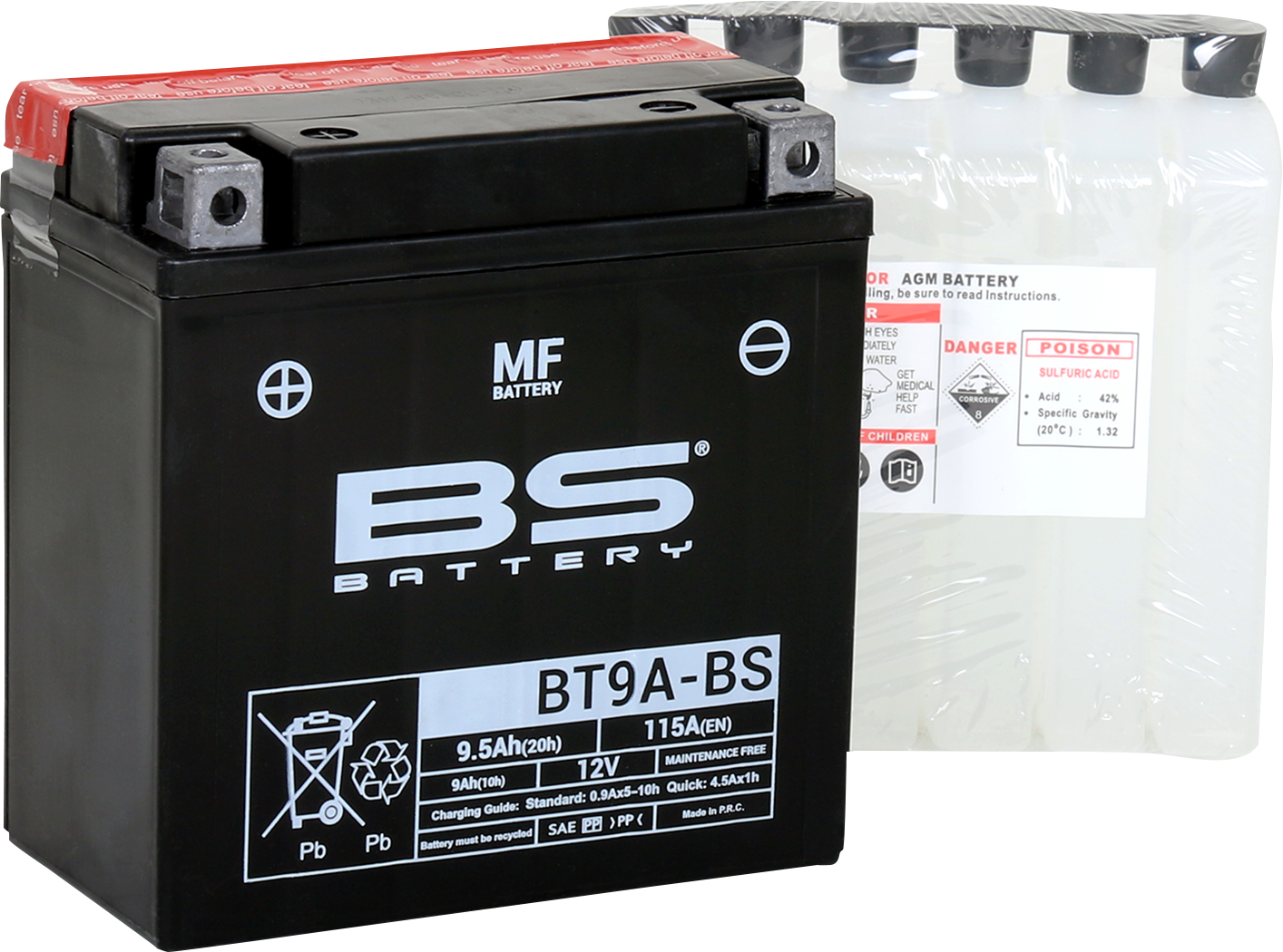 BS BATTERY BT9A-BS (YT) 300748 Maintenance-Free Deep Cycle Battery