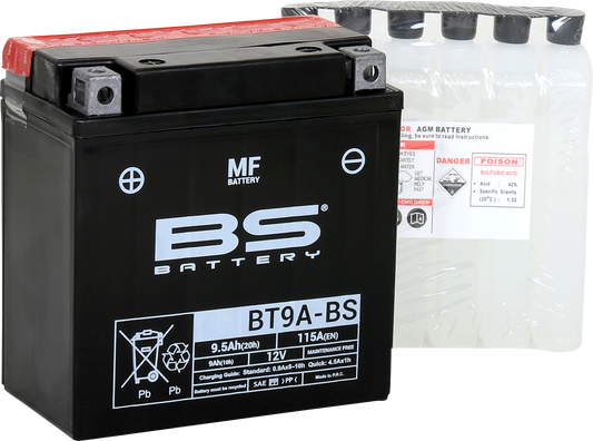 BS BATTERY BT9A-BS (YT) 300748 Maintenance-Free Deep Cycle Battery
