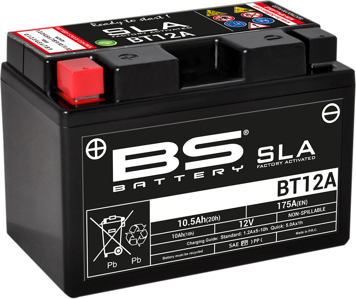 BS BATTERY BT12A (YT) 300679 Absorbed Glass Mat (AGM) Deep Cycle Marine Battery