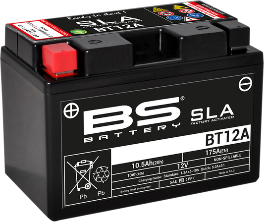BS BATTERY BT12A (YT) 300679 Absorbed Glass Mat (AGM) Deep Cycle Marine Battery