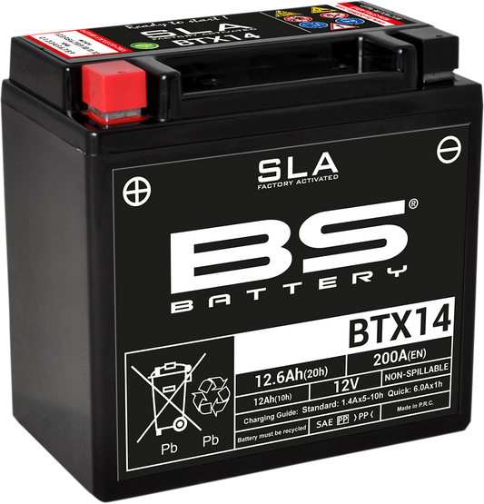 BS BATTERY BTX14 (YTX) 300681 Absorbed Glass Mat (AGM) Maintenance-Free Motorcycle Battery